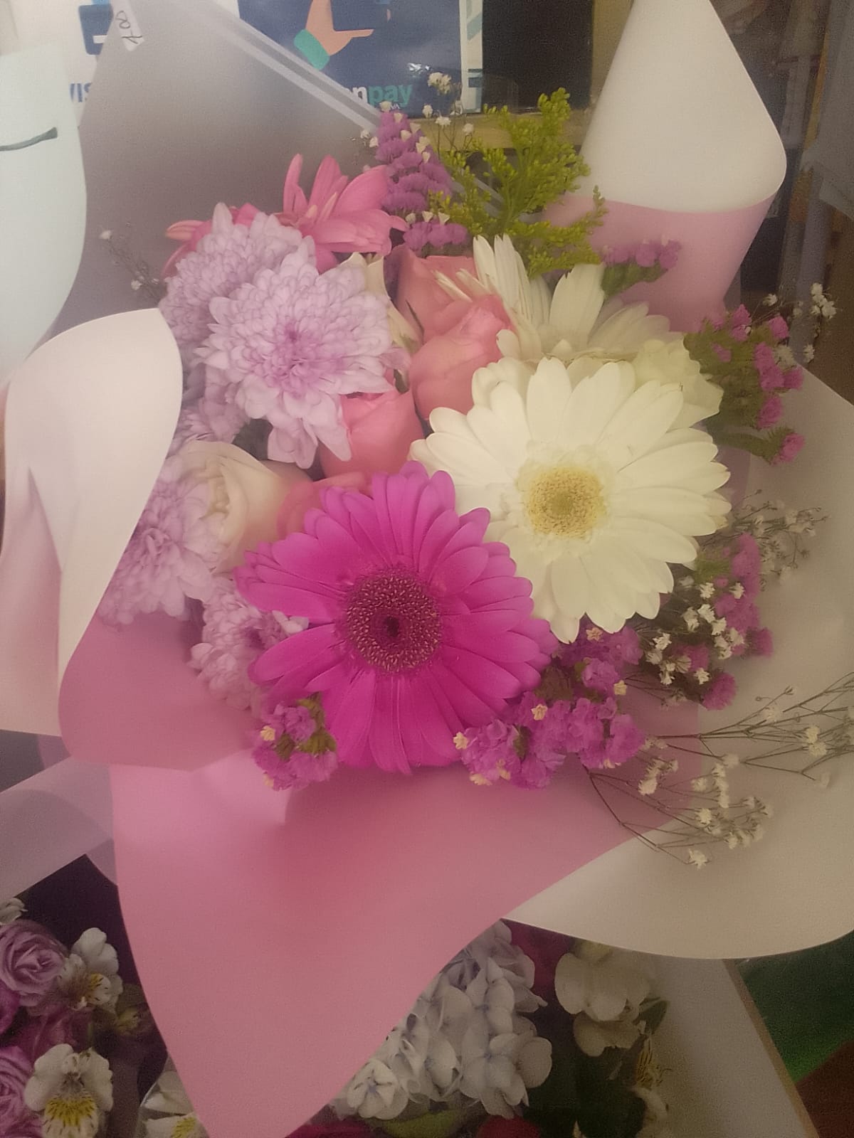 Gerberas