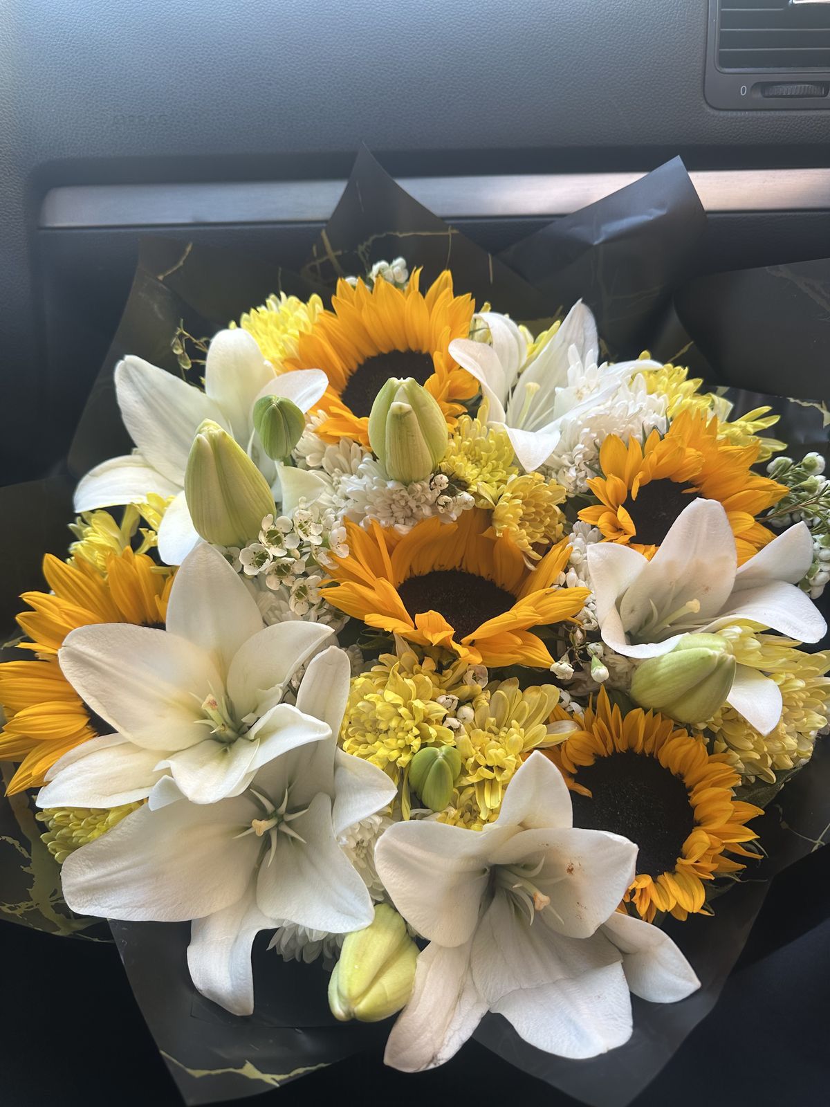 Girasoles