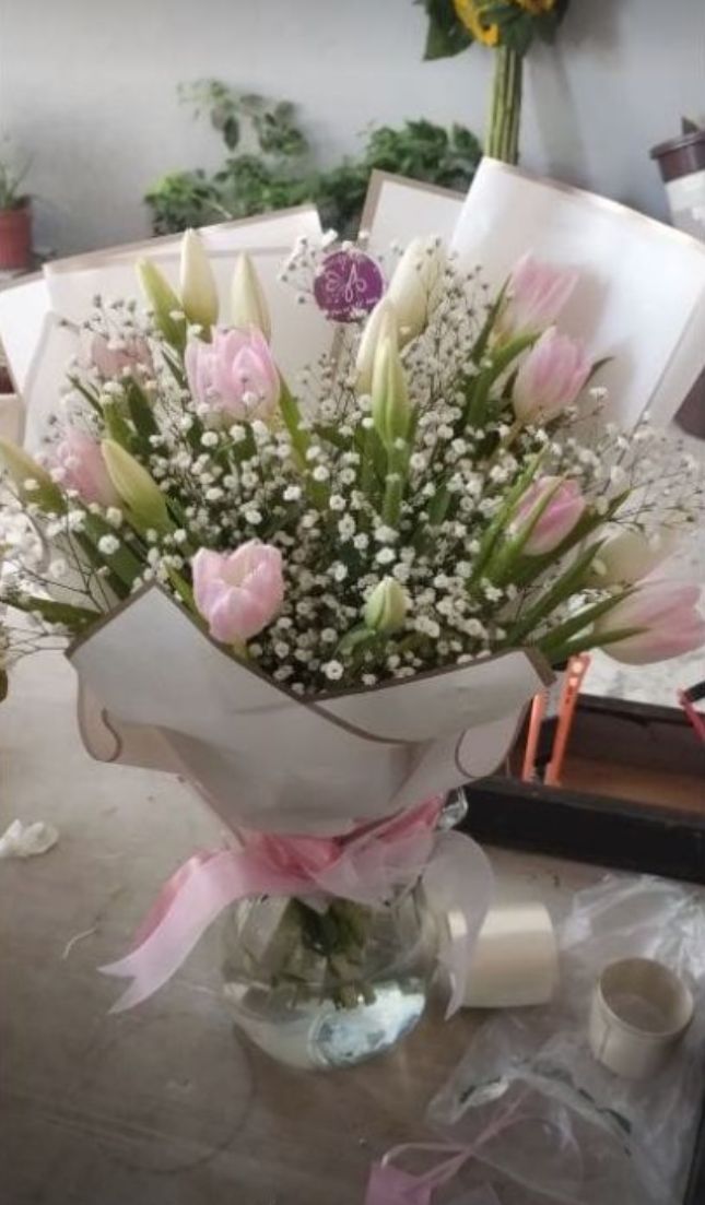 Tulipanes
