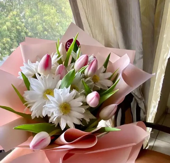 Tulipanes